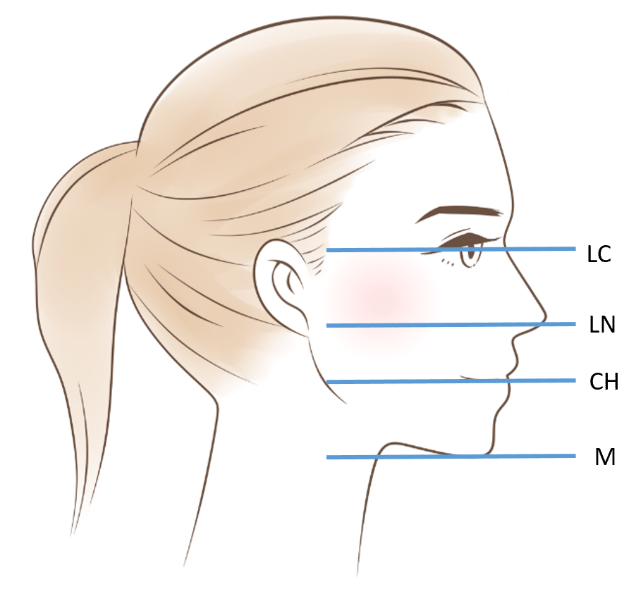 綺麗な横顔の5つの基準とは 矯正治療と横顔の関係 長崎の矯正専門 すずき矯正歯科